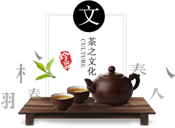 XINGKONG.COM
